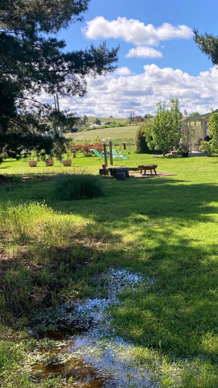 White Croft Cottage 罗斯 外观 照片