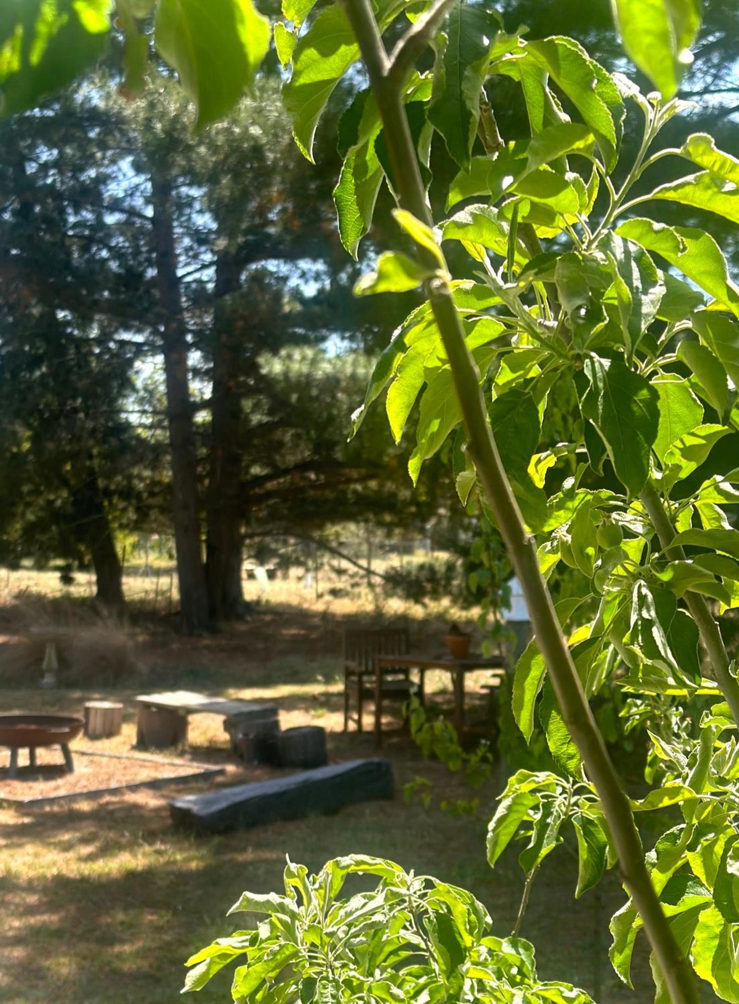 White Croft Cottage 罗斯 外观 照片